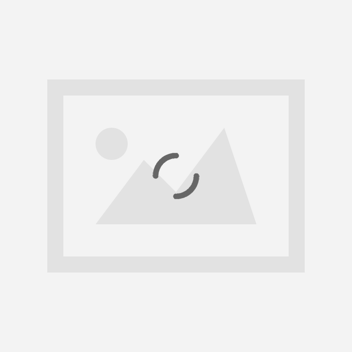 AWOX ARMADA ÇELİK KETTLE